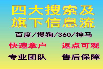 SEM推广代运营公司：行业领先的成功秘诀